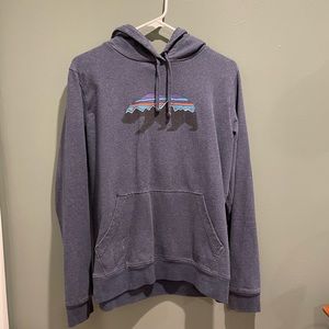 Patagonia Hoodie